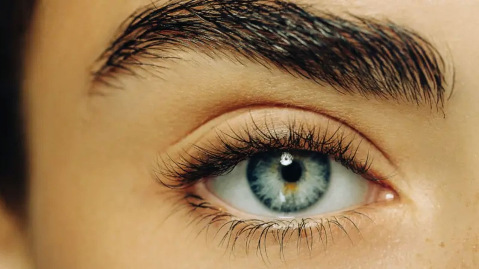 Close-up of a woman's eye showcasing long, elegant eyelashes against a soft, blurred background.
