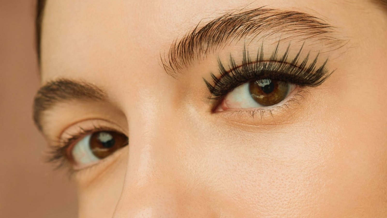 Close-up of a woman's eye showcasing long, elegant eyelashes against a soft, blurred background.