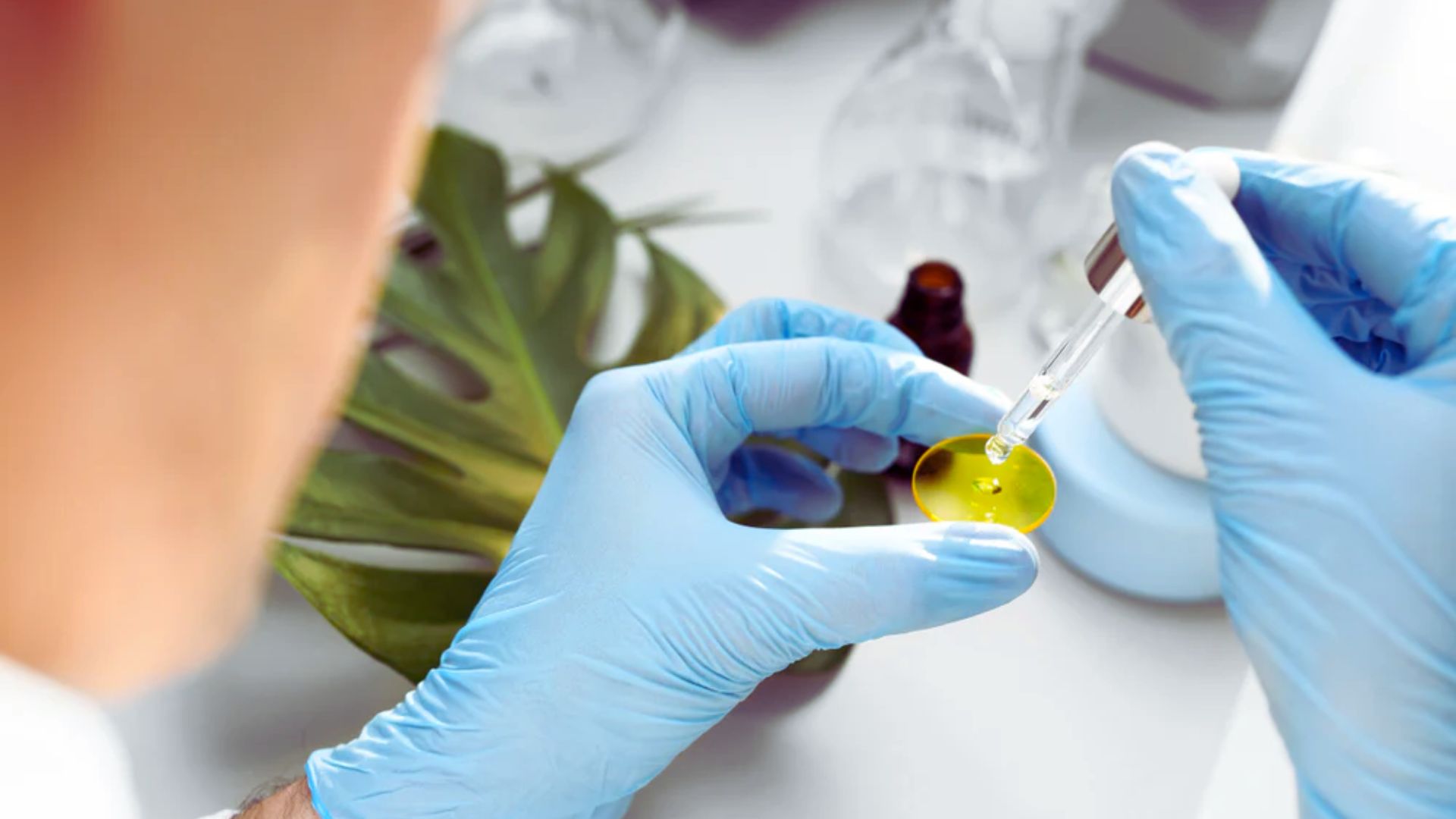 A person in blue gloves carefully drips liquid onto a yellow dish with a pipette. A green leaf and lab equipment are blurred in the background, suggesting a scientific setting.