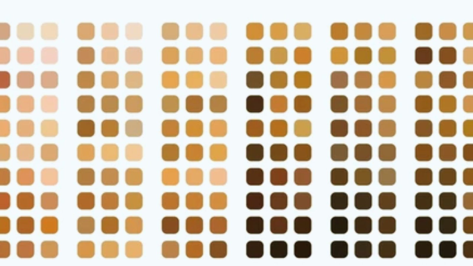 A wide array of brown and tan shades displayed together, showcasing their rich and varied tones.