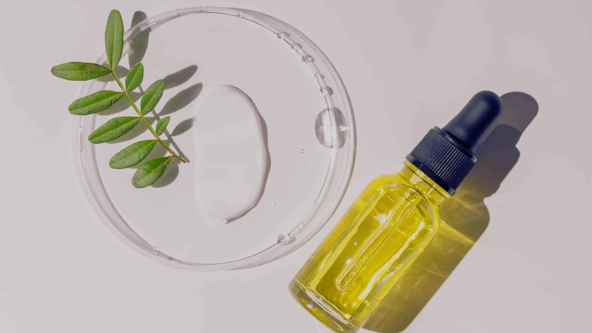 A bottle of essential oil beside a green leaf on a clean white surface.