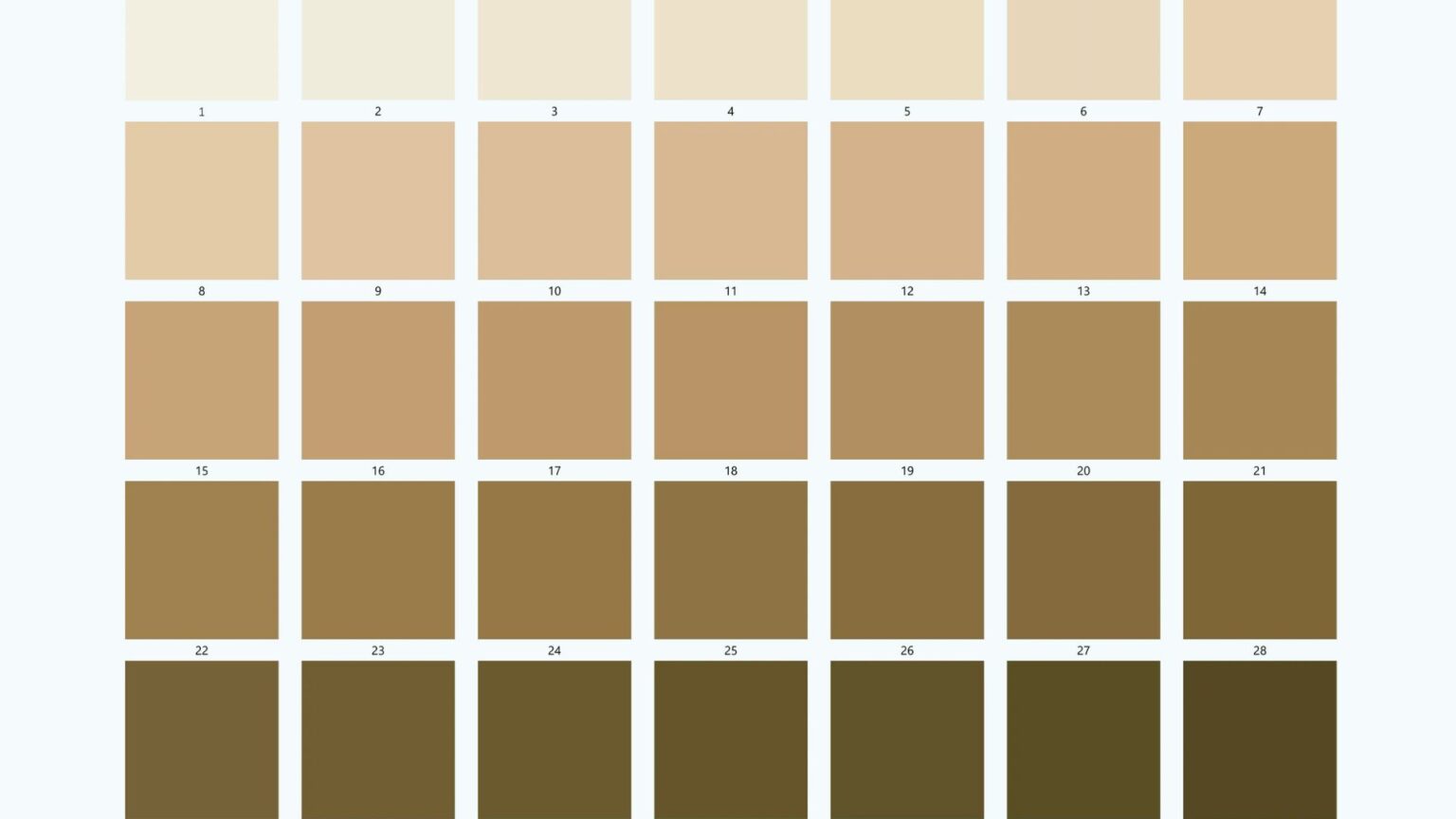 Skin Tones Chart: Visual Guide to All Complexions - BeautyandColour