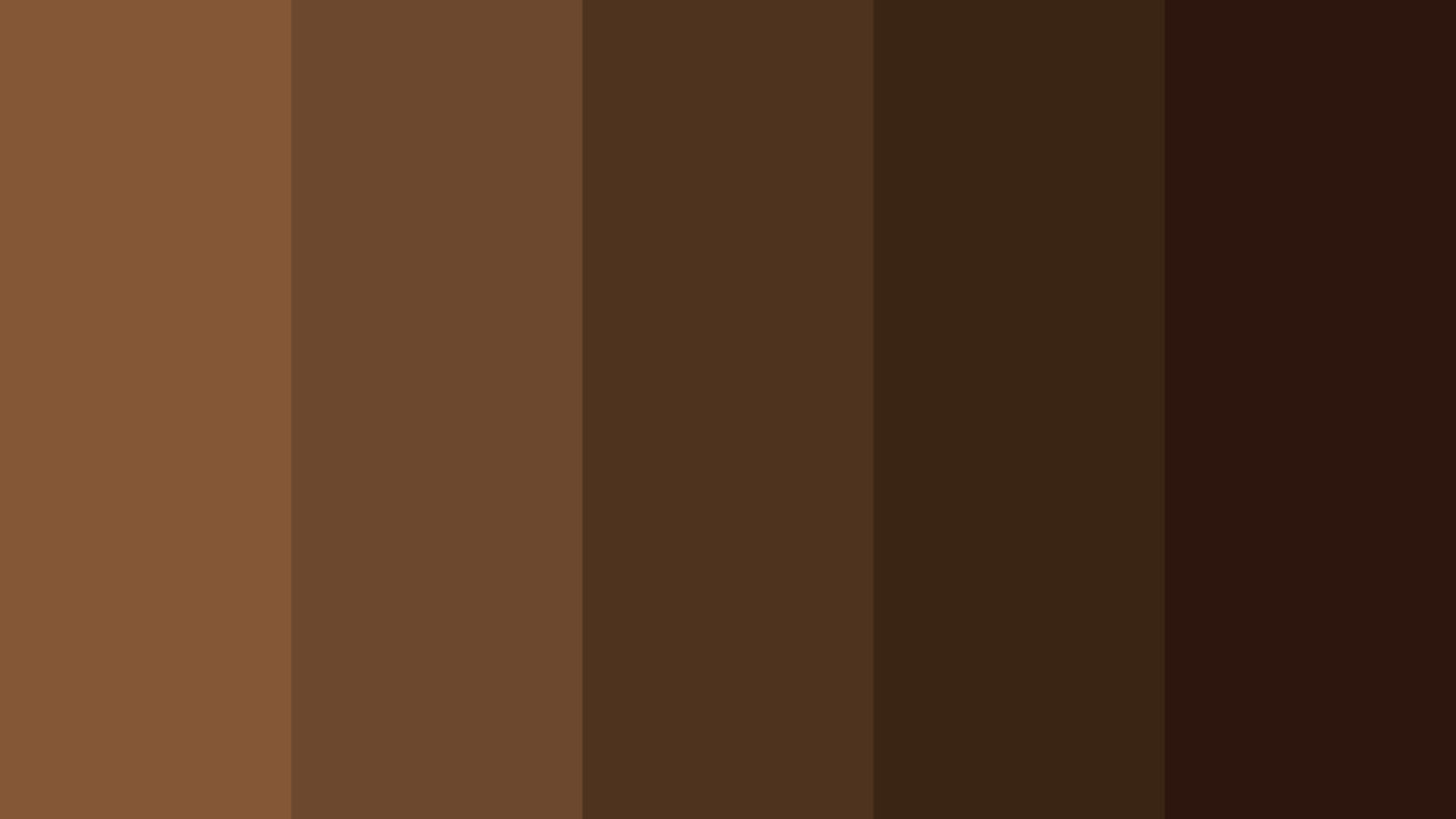 A color palette featuring various shades of brown and black.