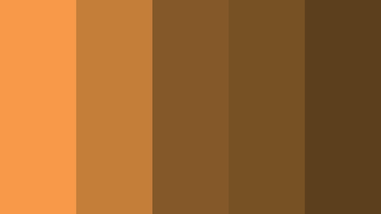 A color palette featuring shades of brown, orange, and black arranged harmoniously.