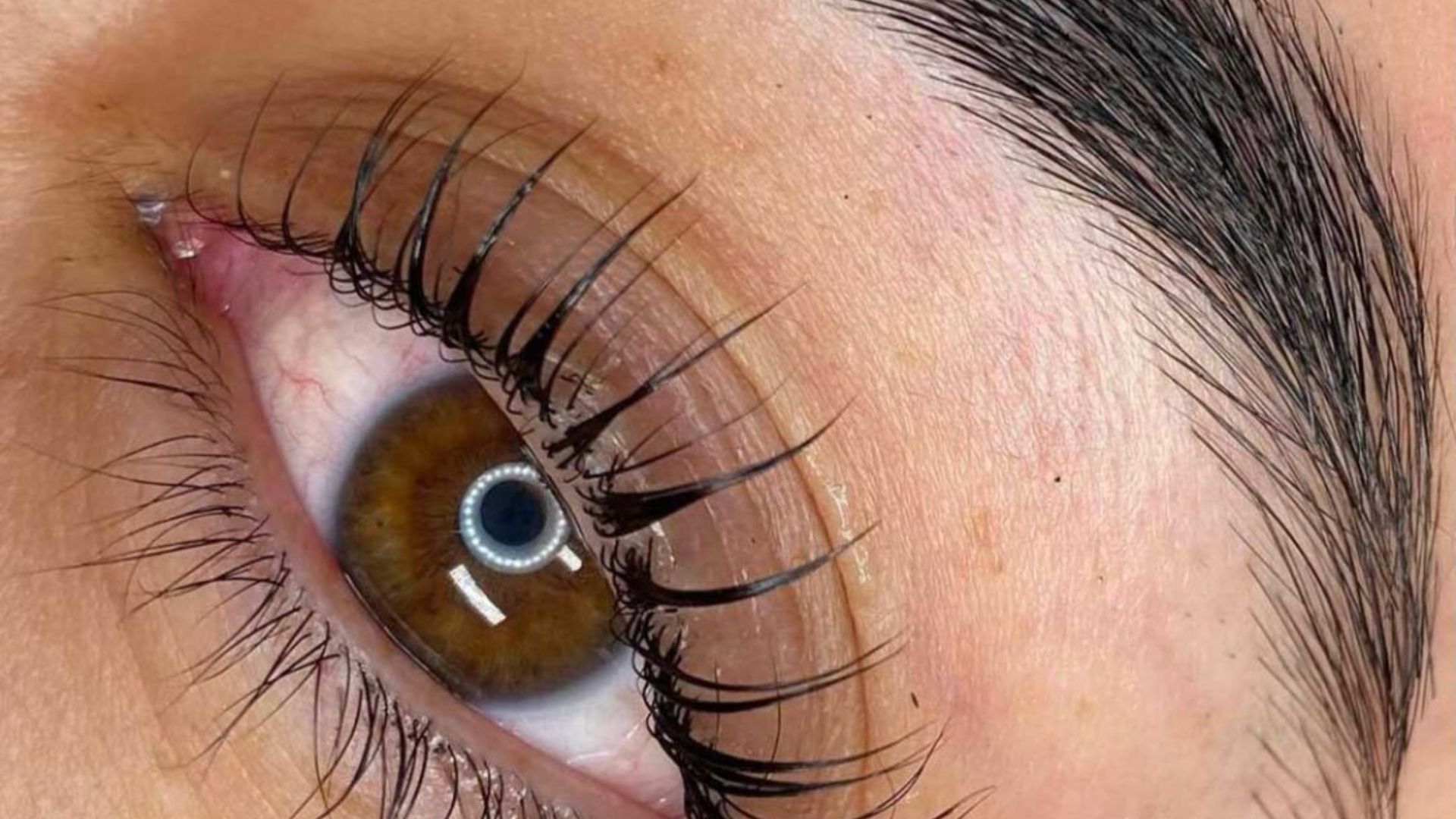 Close-up of a woman's eye showcasing long, elegant eyelashes against a soft, blurred background.